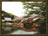 金澤八景